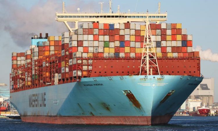 Cargo ships – The pearl of the sea freight industry