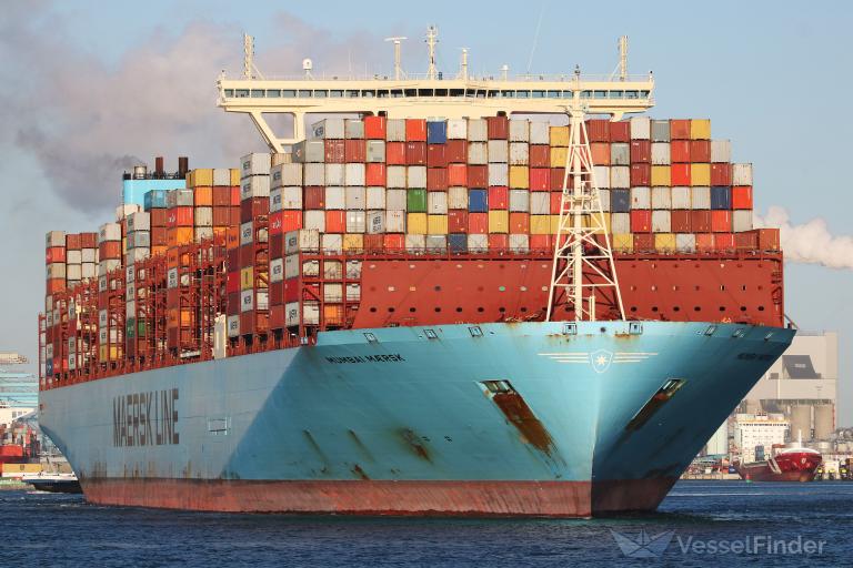 Cargo ships – The pearl of the sea freight industry