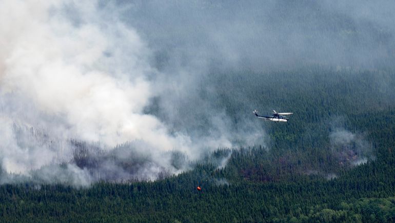 Canadian wildfires raised air pollution Lumber prices could be next.jpg