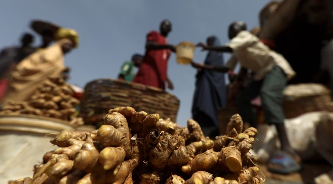 Nigerian ginger exports reach 10 billion naira.png