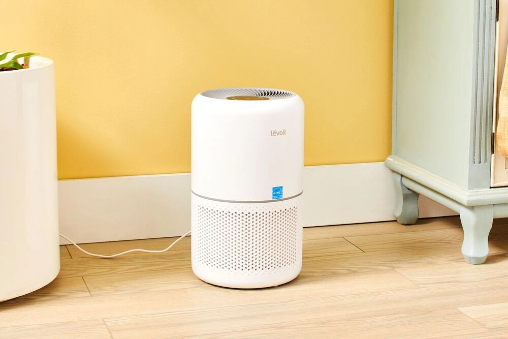 Global Demand for Air Purifiers