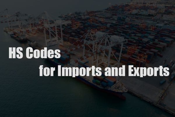 How to Choose the Right HS Code for Imports and Exports?