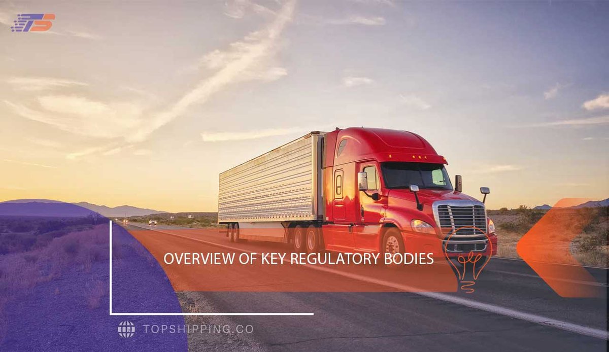 Overview of Key Regulatory Bodies