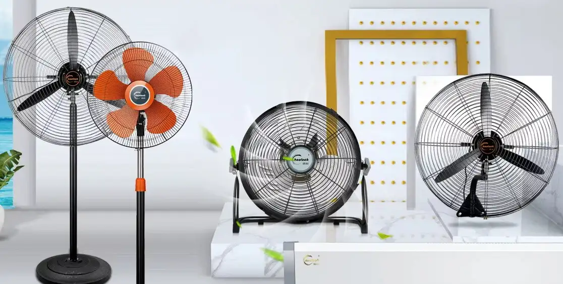 Understanding Import Regulations